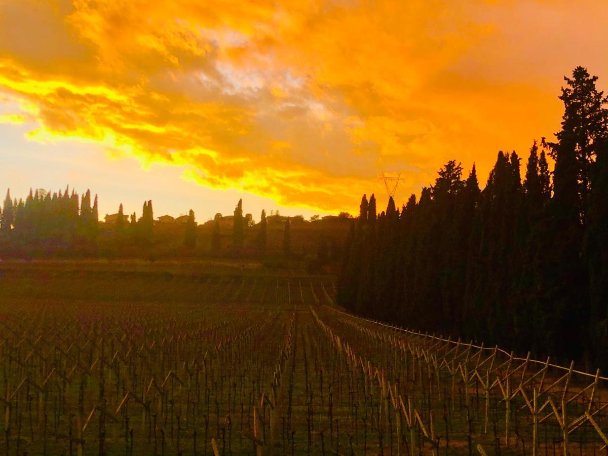 Boccadibacco Bed & Breakfast San Pietro in Cariano